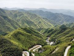 -四明山国家森林公园