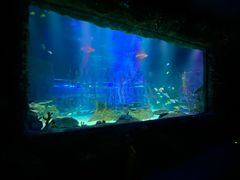 -沈阳海洋探索中心