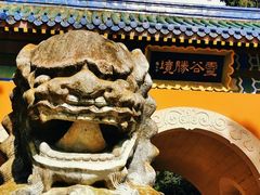 -灵谷景区