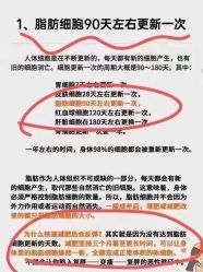 -Lily纤美·科技减脂中心
