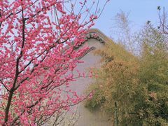 -颐和园