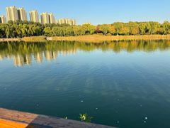 -燕郊植物园
