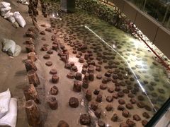 元代水闸遗址博物馆-元代水闸遗址博物馆