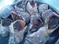 -四海蒸鲜蒸汽海鲜自助(北戴河店)