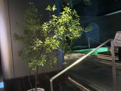 -漫·汤泉