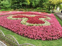 -上海共青森林公园