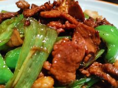 -九毛九西北菜(大东海店)