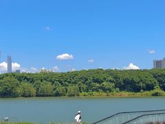 -海珠湖公园