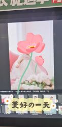 点击看大图 -爱儿美儿童摄影(朝阳公园店)