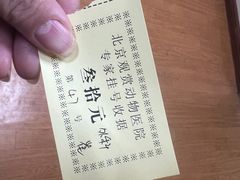 -北京观赏动物医院·24小时大型综合·猫专科·异宠专科