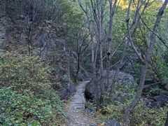 -云岫谷游猎自然风景区