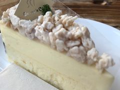 -倾城密码(大唐店)