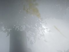 -车艺尚上海龙膜隐形车衣汽车贴膜旗舰店