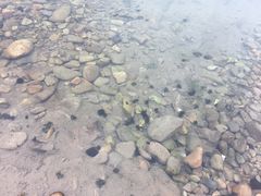 -楠溪江风景名胜区