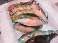 -Isla Sugbu Seafood City