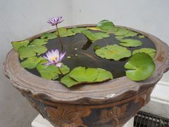 -曼谷国家博物馆