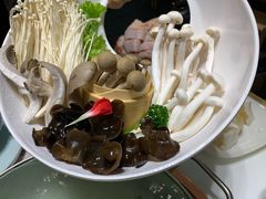 -洪氏嗨捞·猪肚鸡火锅(阳光天地店)