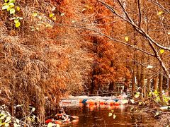 -星湖旅游景区七星岩