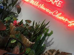 -B.O.M波姆烘焙(凤凰街店)