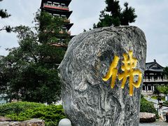 -大明寺素食坊(扬子江中路店)