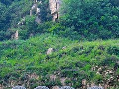 -驼梁风景区