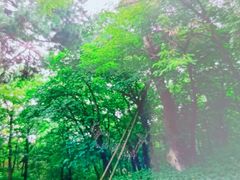 -沈阳市东陵公园