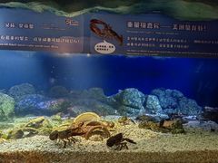 -珠海长隆海洋王国