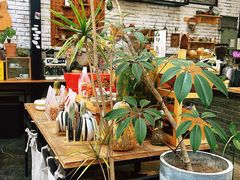 -北马山庄植趣咖啡