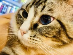 -白兔子密室(长寿路店)