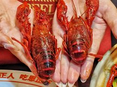 -七寸飝大饭店(马场店)