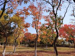 -刘公岛景区