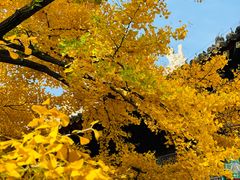 -红螺寺