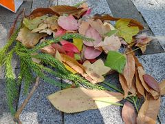 -白塘生态植物园