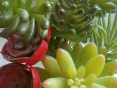 -中百仓储超市(大庆东路店)