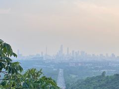 -火炉山森林公园