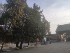 -关林