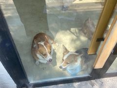 -小意思咖啡店(草桥店)