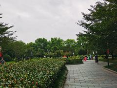 -堤角公园