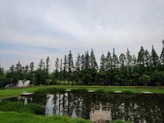 -前小桔亲子创意农场·草莓采摘·露营烧烤