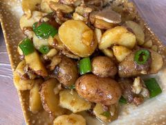 -张鲫鱼家常菜