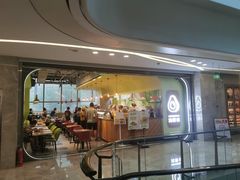 -油梨树AVOCADO TREE(望京店)