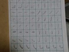 -赵汝飞练字(南京路国际贸易中心校区)