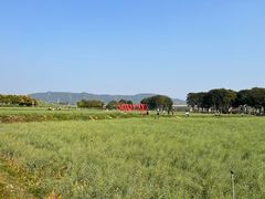 -光明小镇欢乐田园