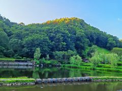 -桃花岭景区