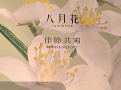 -八月花(旺角朗豪坊店)
