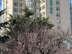 -大连人民广场