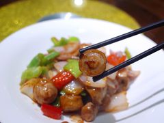 炒套肠-小莆天(元帅路店)