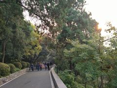 -云龙山
