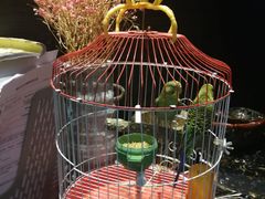 -舌尖上的食缘花园主题餐厅