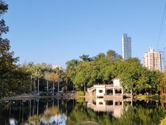 -晓港公园